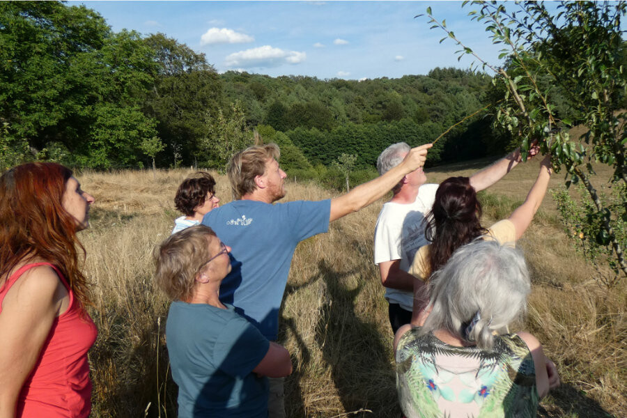 Foto Voedselbos verdieping - jaartraining