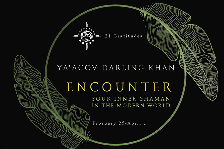 Photo Encounter - movement medicine online