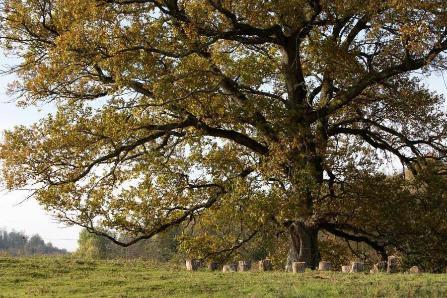 Tot rust komen in jezelf, cursus in de Ardennen, Oost West Centrum Orval
