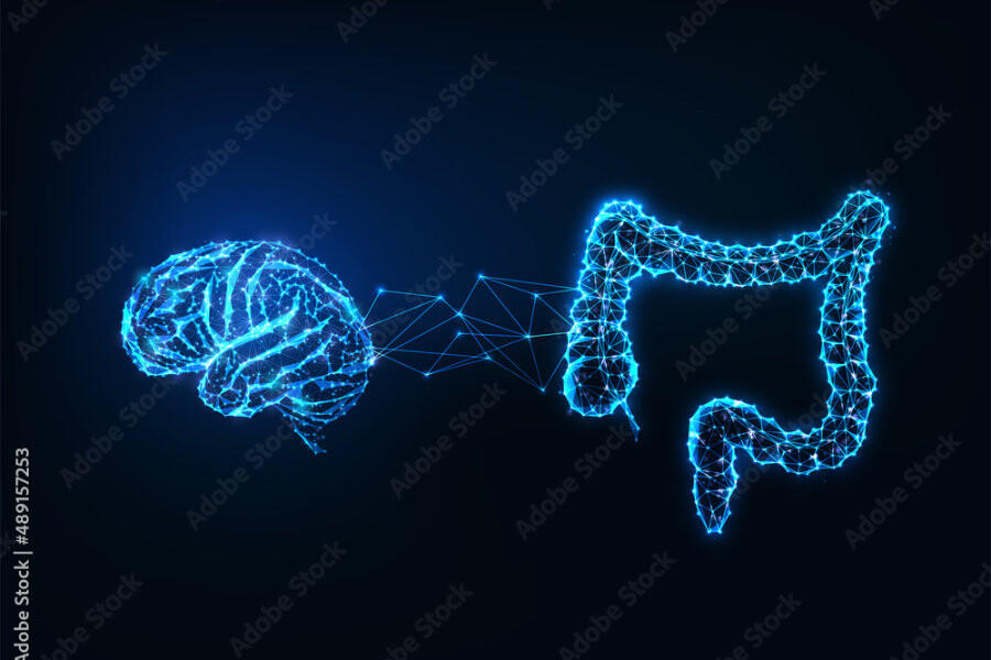 Foto Verbeter de darmfunctie, activeer je brein - proefles