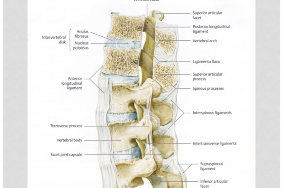 Photo Assessment and treatment of the lumbar and sacral ligaments