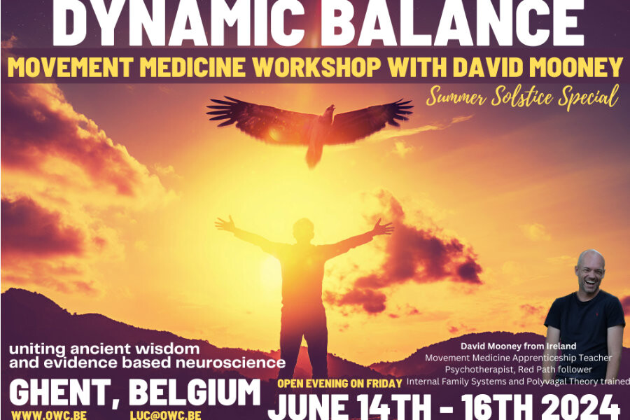 Dynamic balance, Movement Medicine workshop met David Mooney