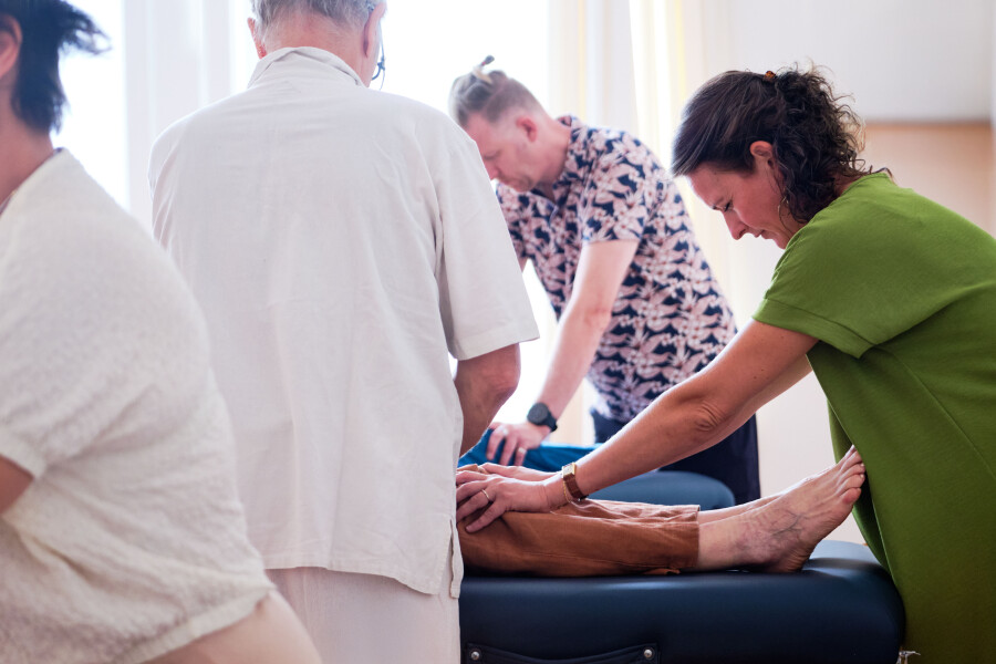 Foto Holistische massage basisdag
