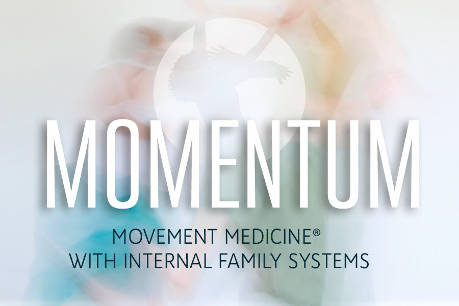 Momentum, Movement Medicine cursus Oost West Centrum