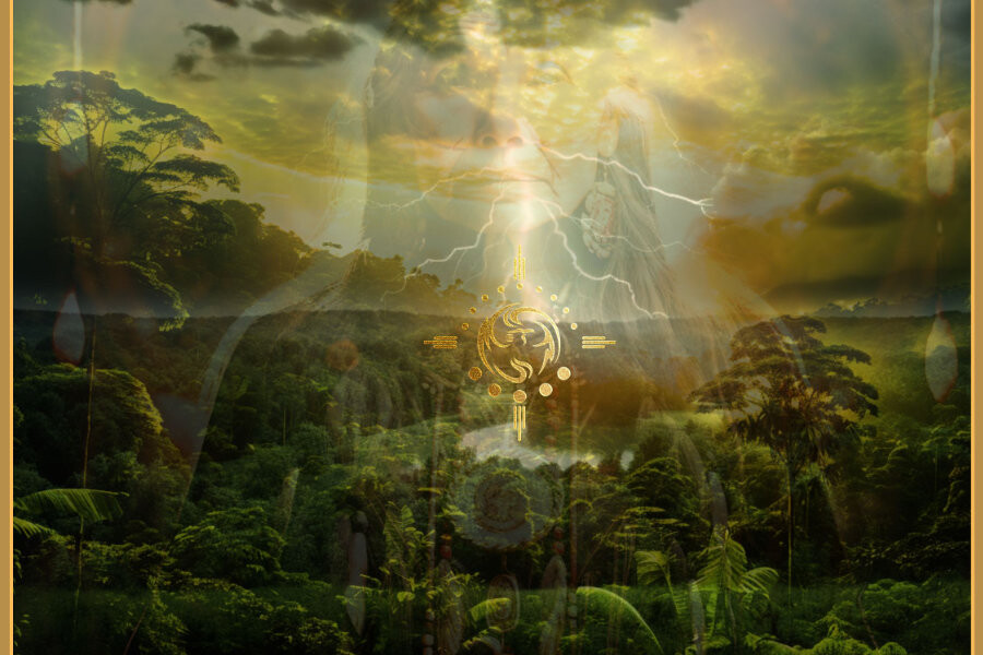 Photo Rise (movement medicine)