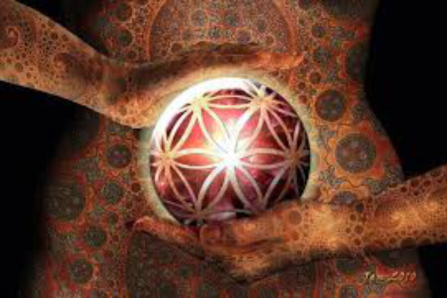 Foto Trager approach basiscursus: thema buik en bekken