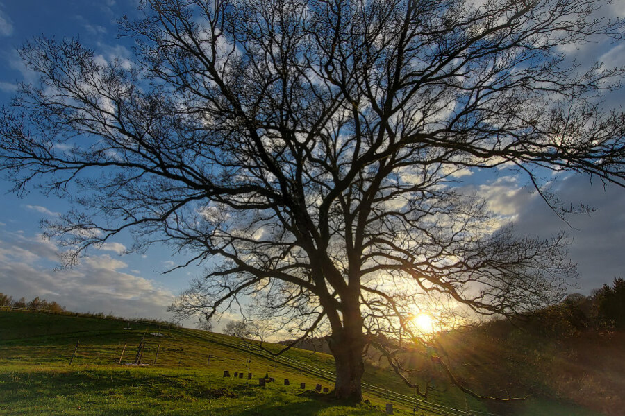 Lezing 'perspectief op een nieuwe tijd'