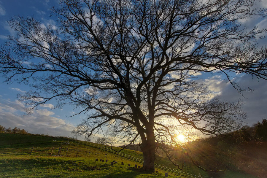 Photo The 'golden valley' of reiki