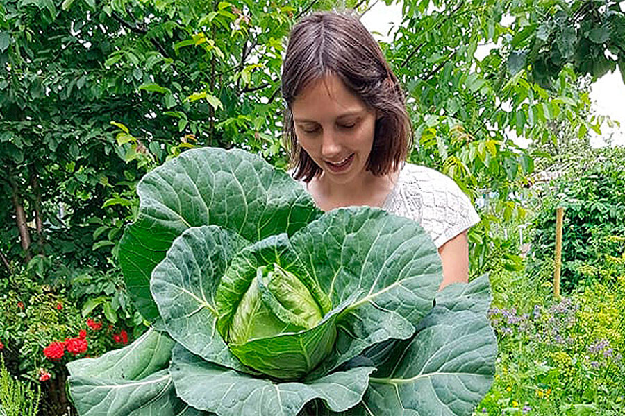 Tweedaagse plantaardige kookworkshop, in de Ardennen, Oost West Centrum