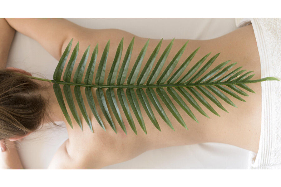 Foto Lomi-lomi massage workshop