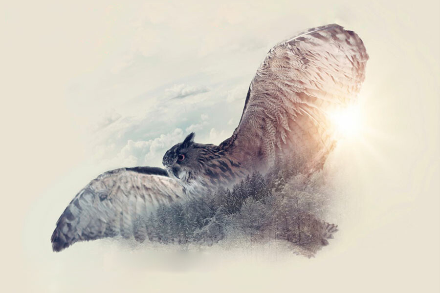 Photo Masculine & Feminine (Movement Medicine)