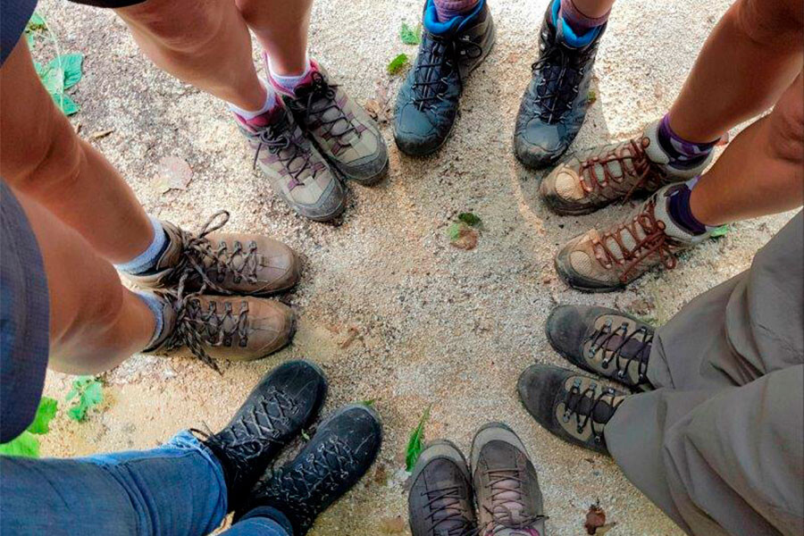 Natuurcoaching als tool voor groepen, training in de Ardennen, Oost West Centrum Orval