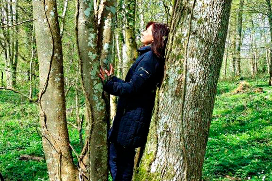 Foto Natuur, intuitie en zelfreflectie - online