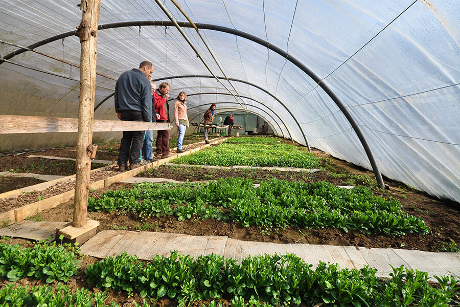 Permacultuur cursus in Vlaanderen: cursus permacultuur in de moestuin - jaartraining