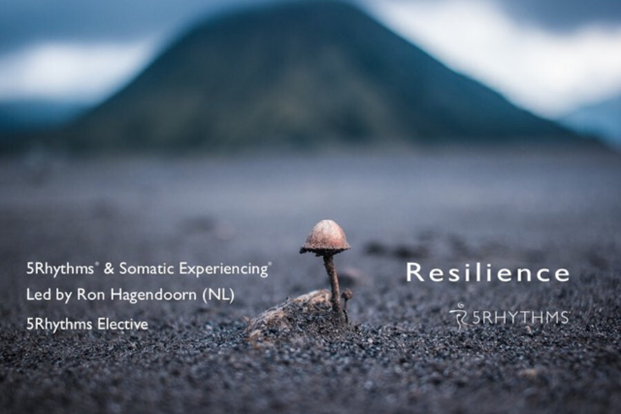 Resilience (5rhythms & somatic experience), cursus in Antwerpen, Oost West Centrum