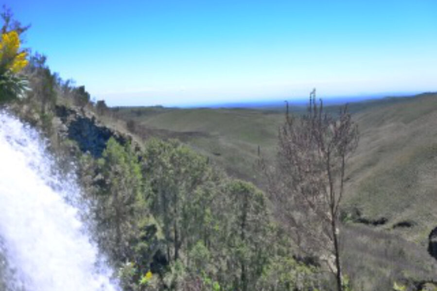 Rising and falling, Body in Soul danscursus Oost West Centrum