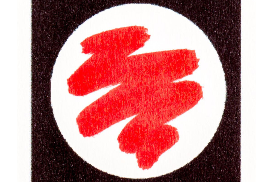 Verkiezingen, hoe doe je dat?, cursus Oost West Centrum