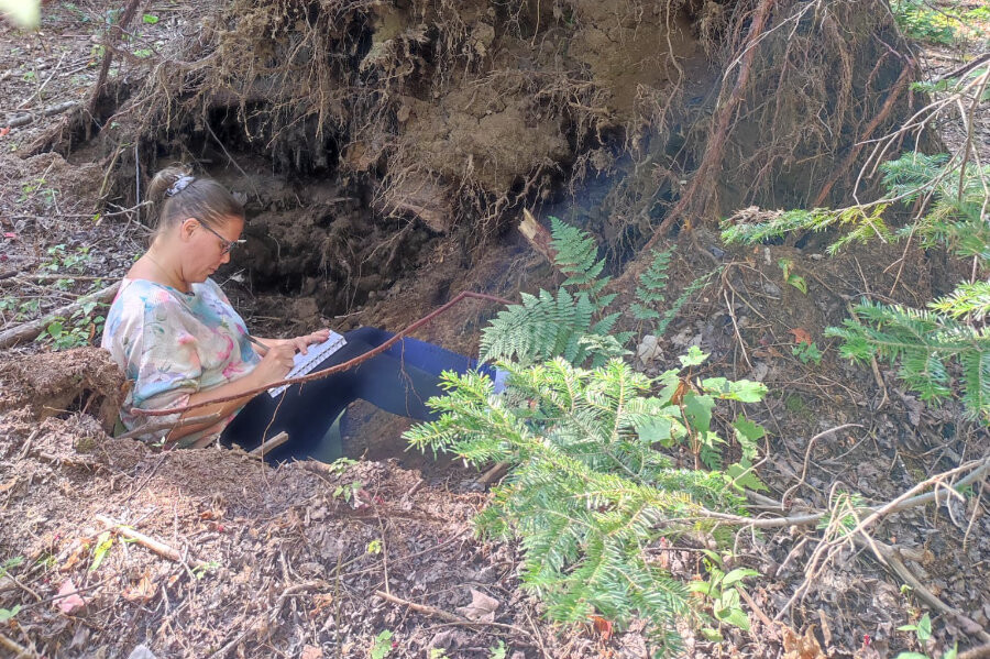 Ontdek je ware zelf in verbinding met de natuur, cursus natuurcoaching , Oost West Centrum