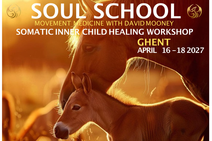 Foto Soul school