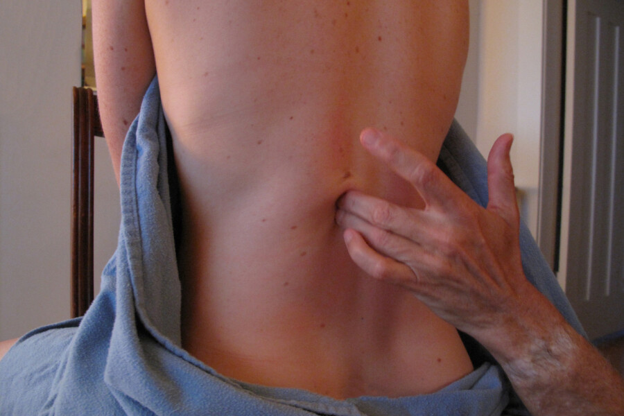 Connective tissue massage. Cursus bindweefselmassage, Antwerp, Oost West Centrum.