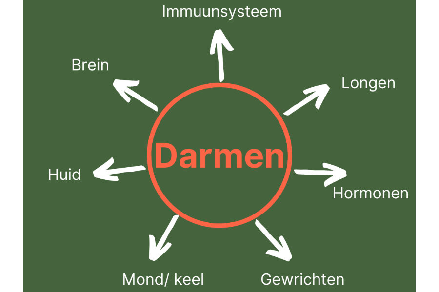 Foto Het geheim van een gezond lichaam: een gezonde darm