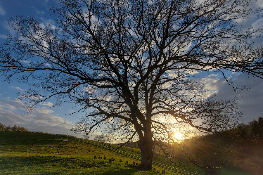 Photo The 'golden valley' of reiki