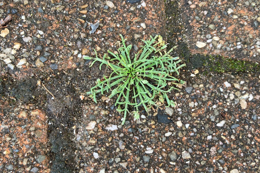 Everything is interesting, dansworkshop in Antwerpen, Oost West Centrum