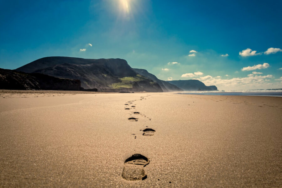Your next step, online cursus Oost West Centrum