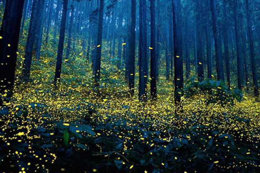 Foto Geluk vinden en behouden: wat is gelukkig zijn