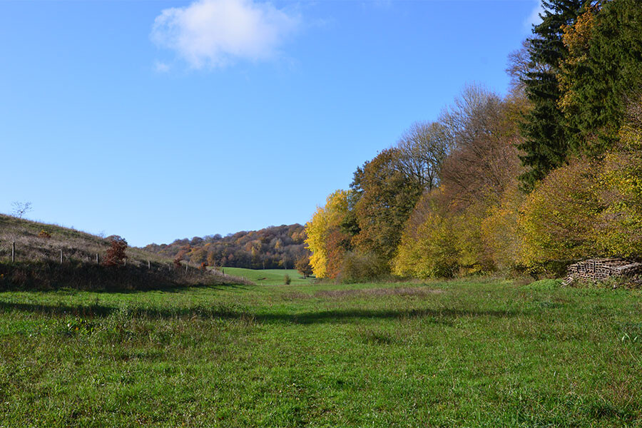 begeleid wandelweekend Ardennen, Oost West Centrum Orval