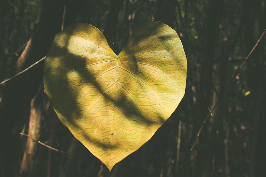 Photo Communication in intimate partnership