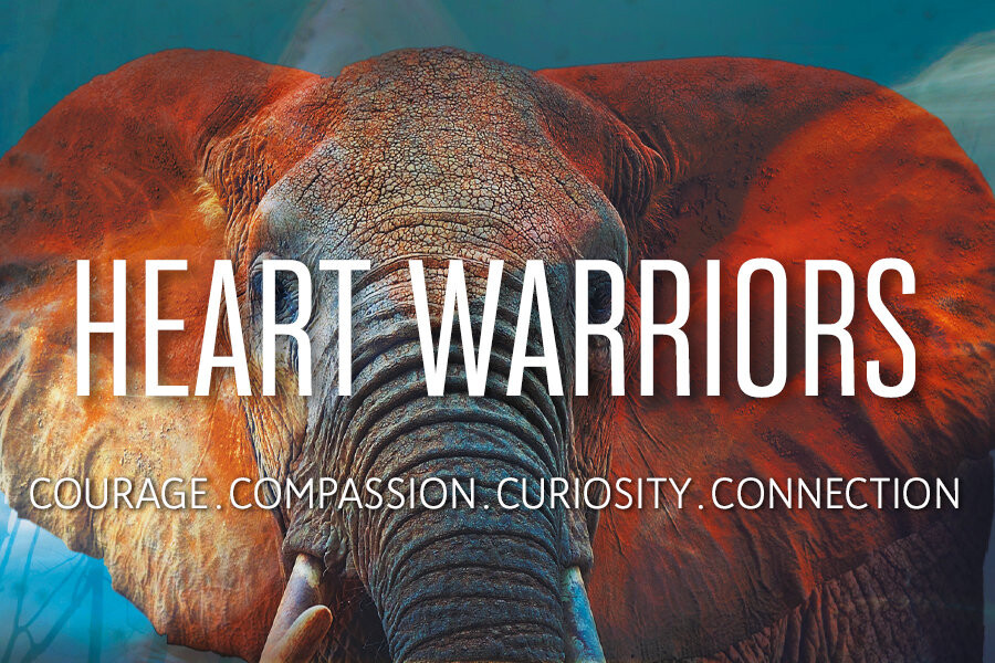 Heart Warriors, Movement Medicine cursus Oost West Centrum