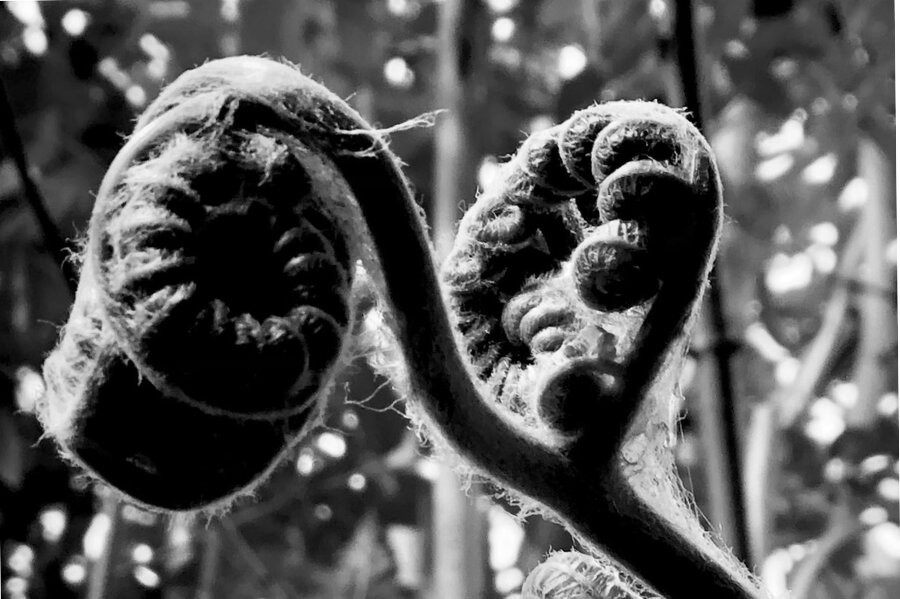 Foto Into the dark (2026)