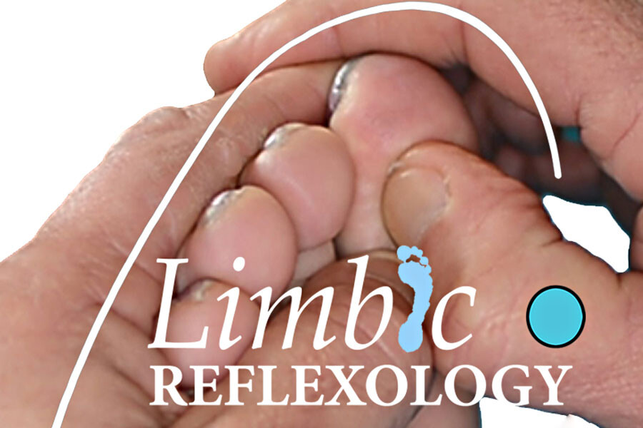 Photo Limbic Reflexology training