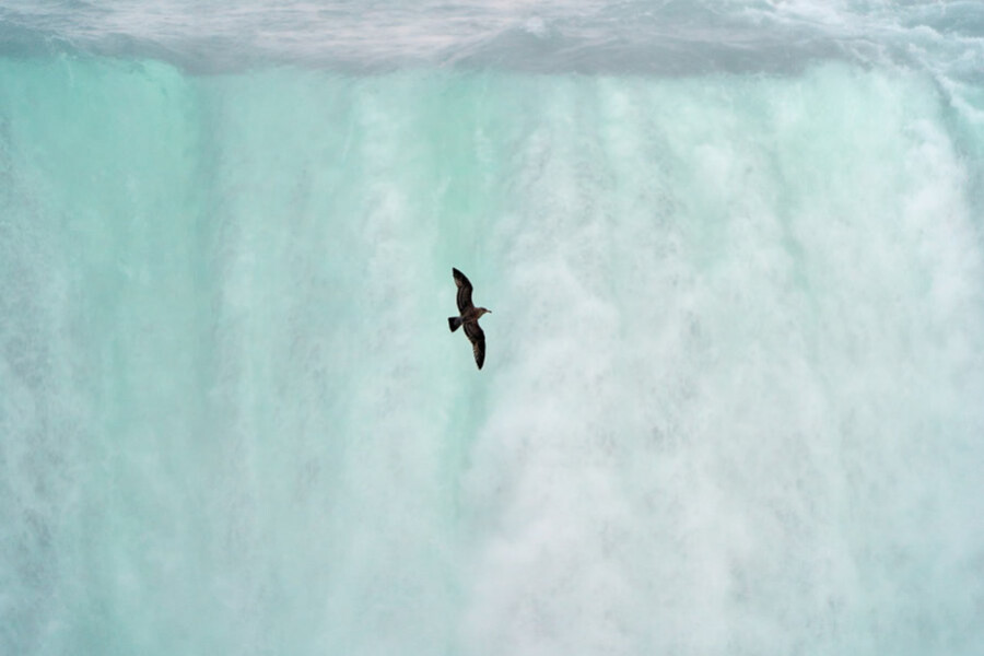 Photo Love, flow, and health