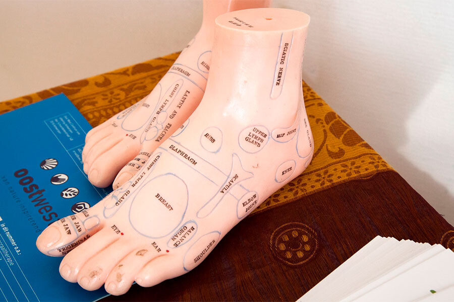 Foto Medische basiskennis b (summer intensiv)