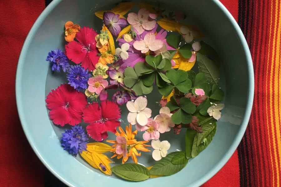 Foto De kracht van de menstruele cyclus