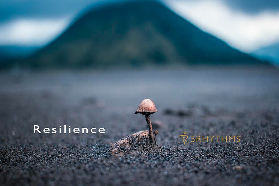 Photo Resilience - 5Rhythms Elective & Somatic Experiencing