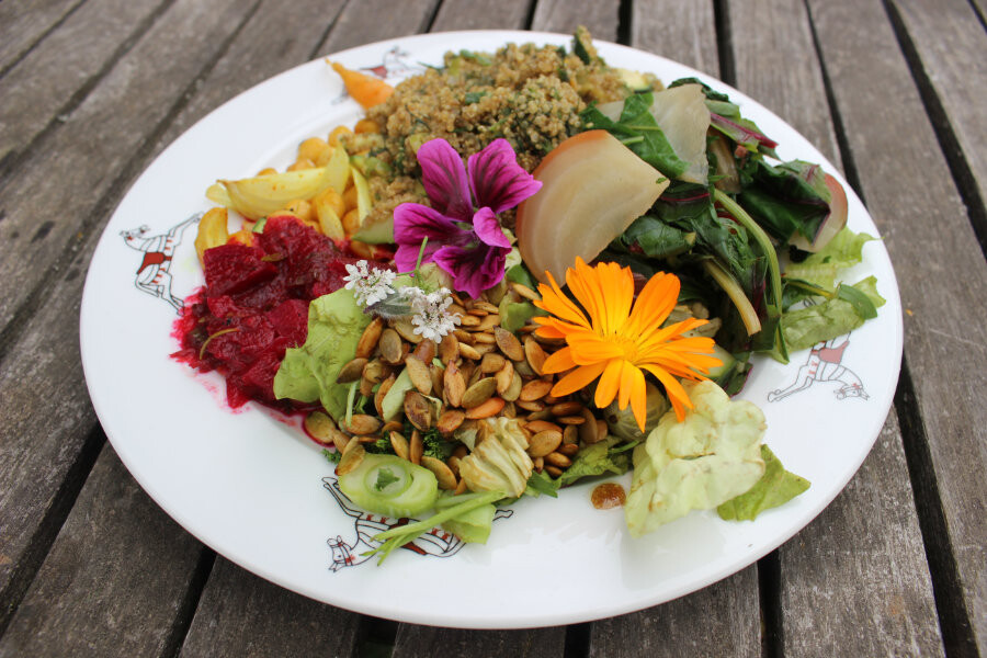 Healthy vegan comfort food, vegan kookles Oost West Centrum