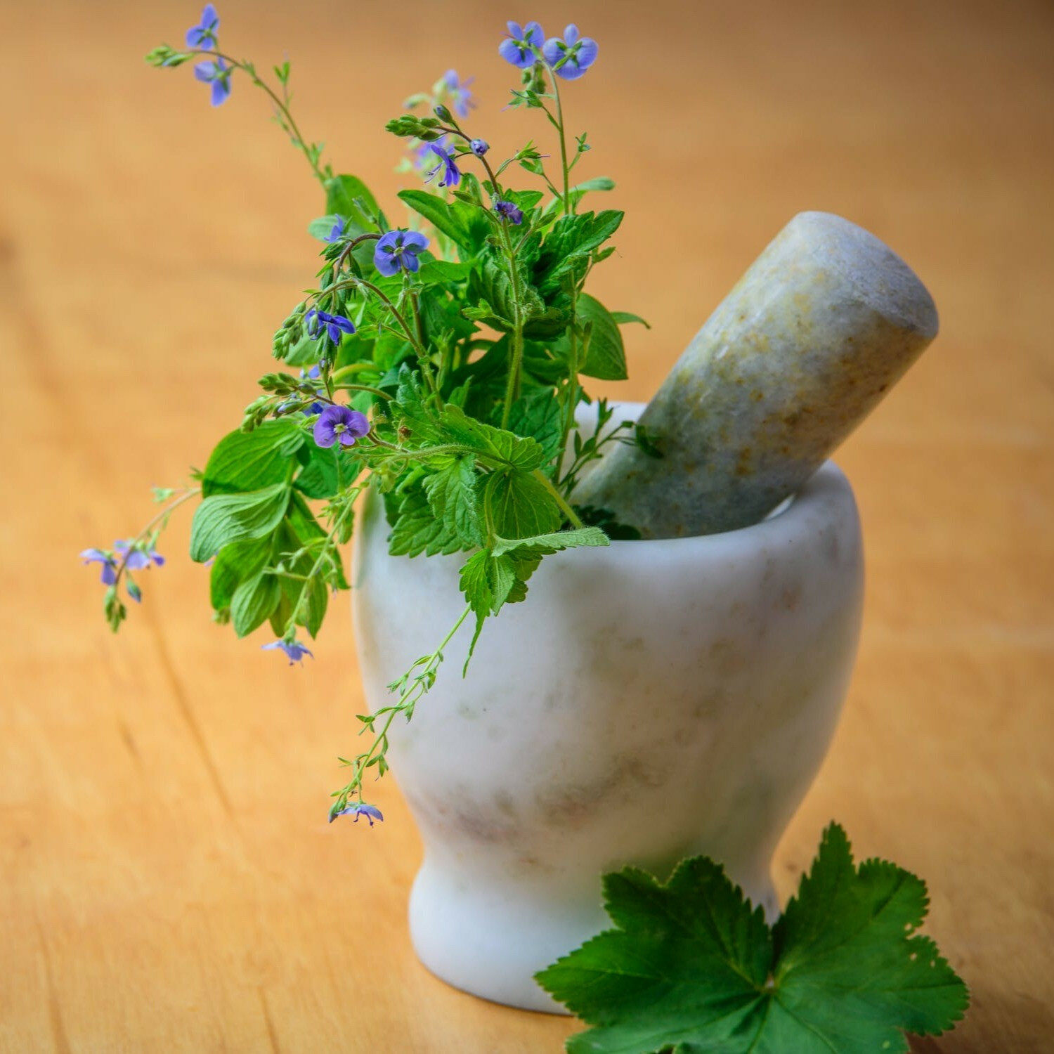 Cursus natuurlijk gezond leven, bij OWC natuurlijk!